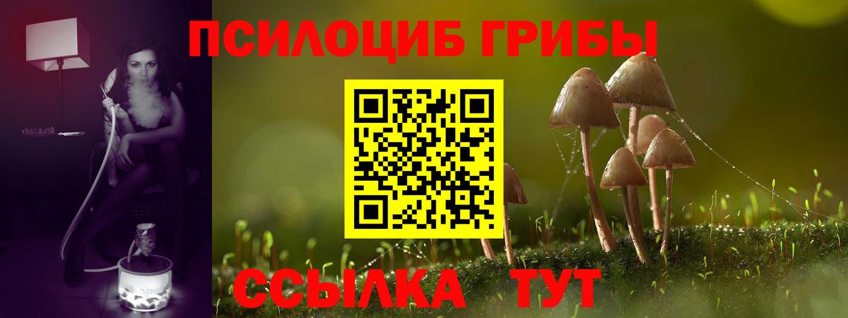 Псилоцибиновые грибы прущие грибы  закладки  Можга  Вход с VPN  Галлюциногенные грибы мухоморы 