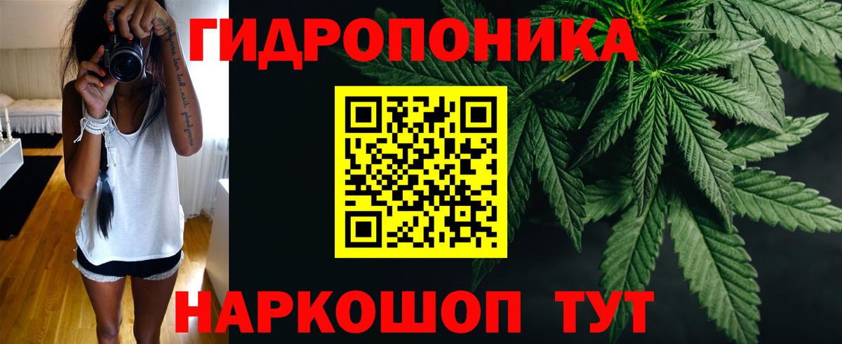 Можга  Марихуана гибрид  Шишки марихуана VHQ  Вход с VPN  Канабис индика  Каннабис Bruce Banner 